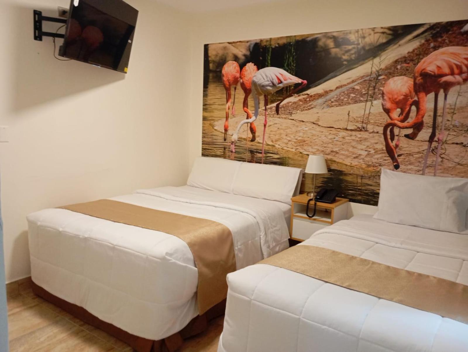 Hotel Soul Mate Inn ليما المظهر الخارجي الصورة